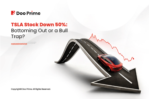 tsla stock down cover